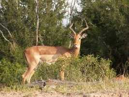 The Wild and Scenic Mpumalanga Tour The Wild and Scenic Mpumalanga Tour